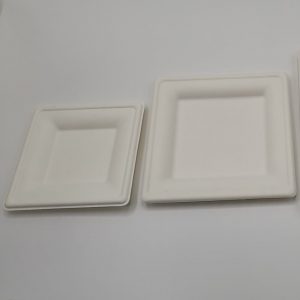 bagasse_plates